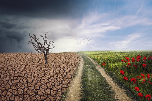 Aanpassing aan de klimaatverandering en landbouw