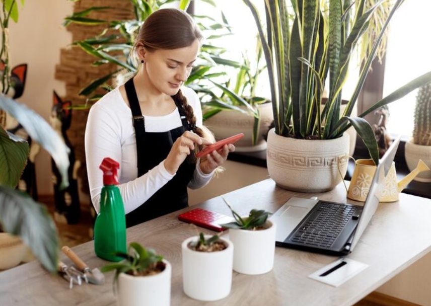 Wat Maakt een Webshop voor Plantenbakken Betrouwbaar?